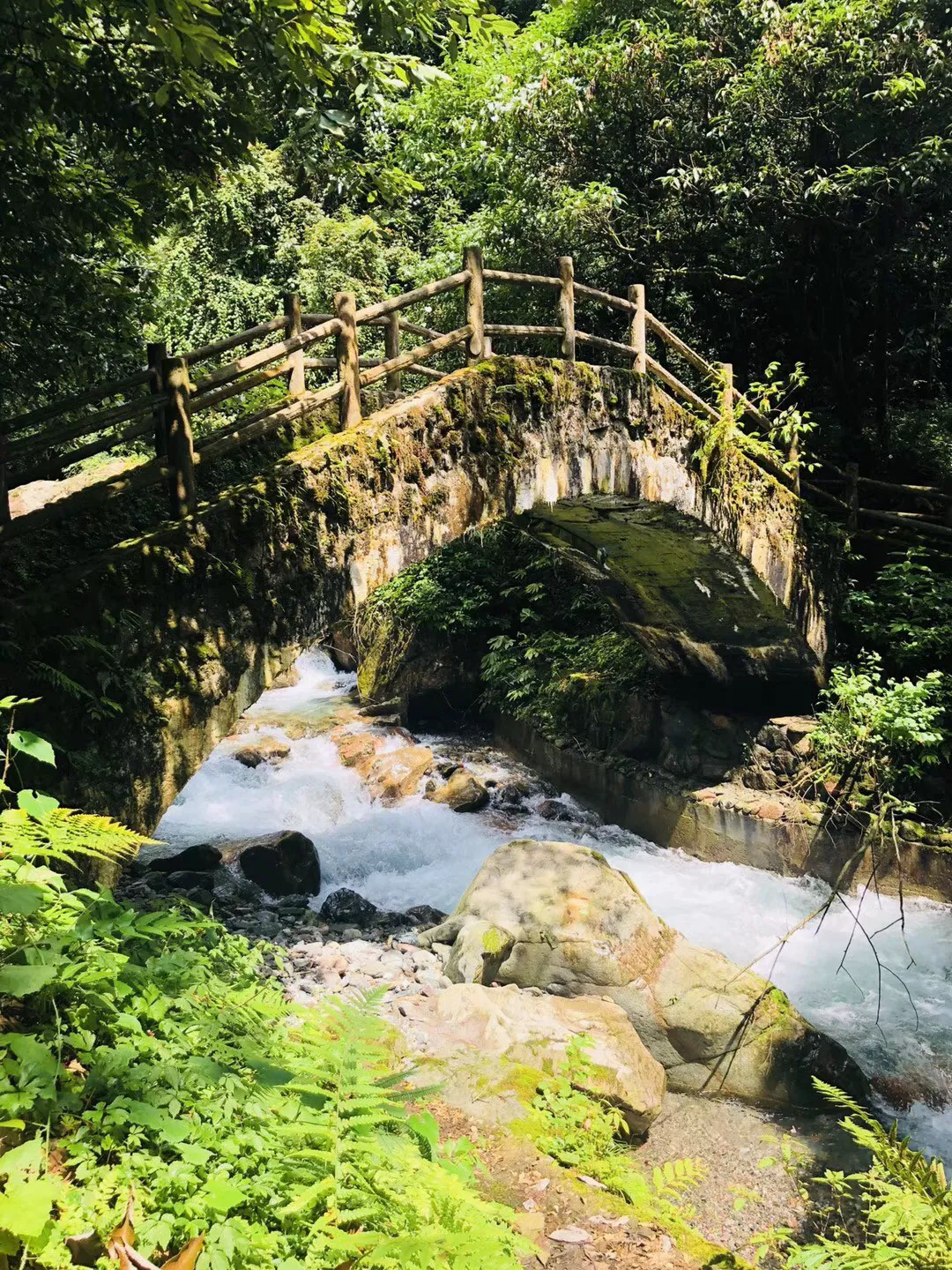 豆娃爱糖果3