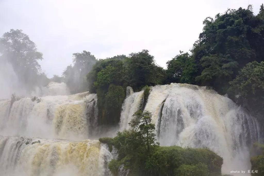 缤纷水果茶